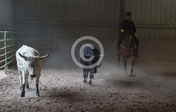 Team Penning at Bar W