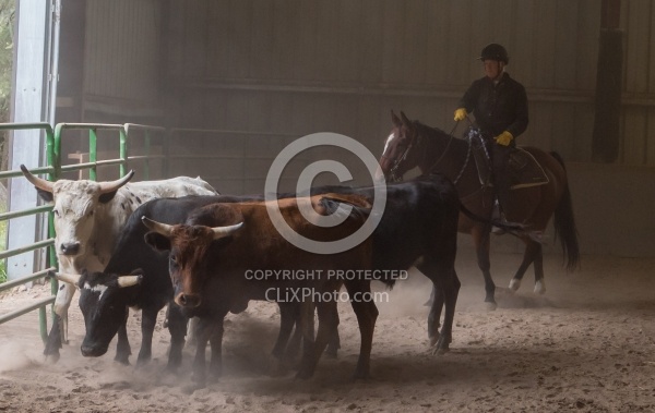 Team Penning at Bar W