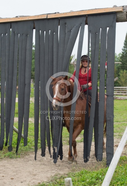 Cinette and Blaze Go Through the Car Wash at Horse Country Campg