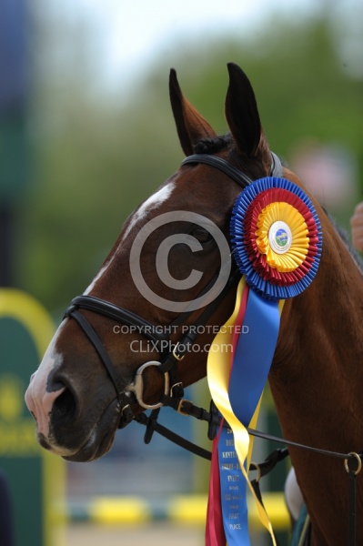 Mary King and Kings Temptress winner Rolex 2011 