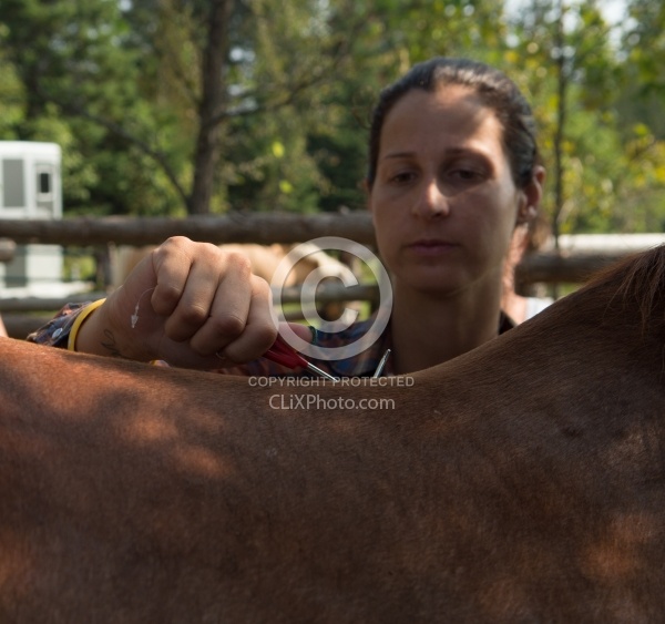 Massage and Stretching