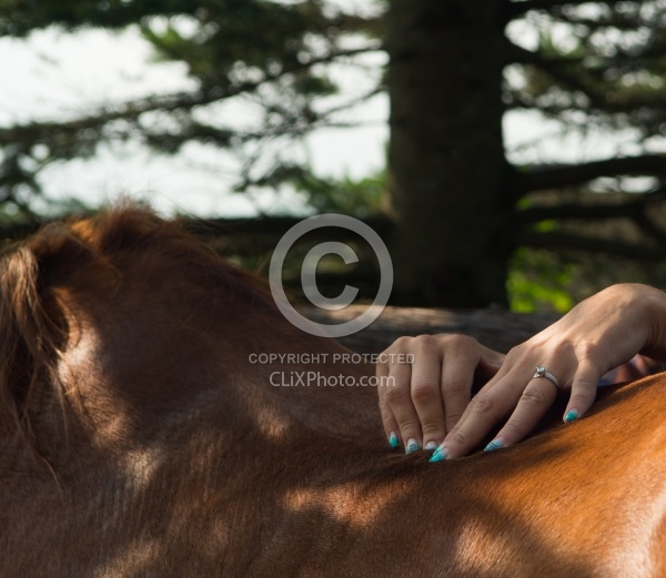Massage and Stretching
