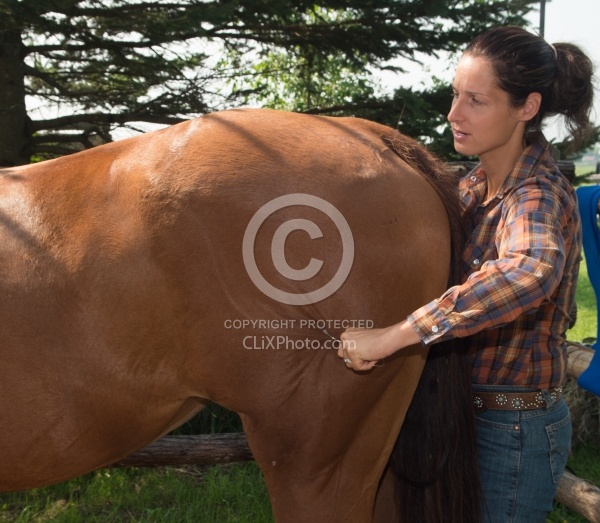 Massage and Stretching