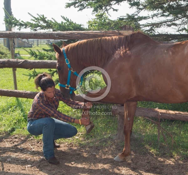 Massage and Stretching