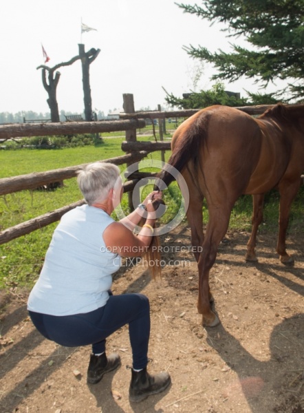 Massage and Stretching