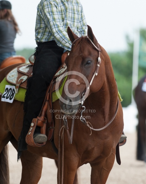 Western Bridle with Bit