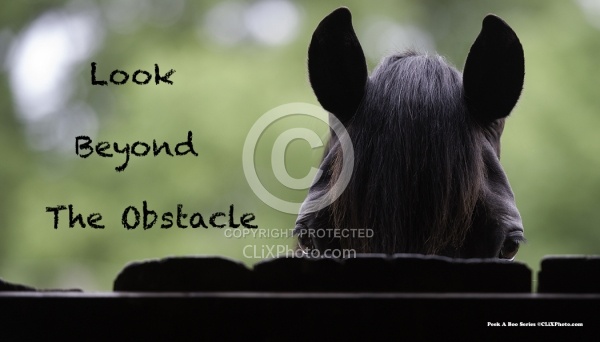 Canadian Inspirational Series