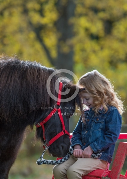 Girl with Miniature Horse