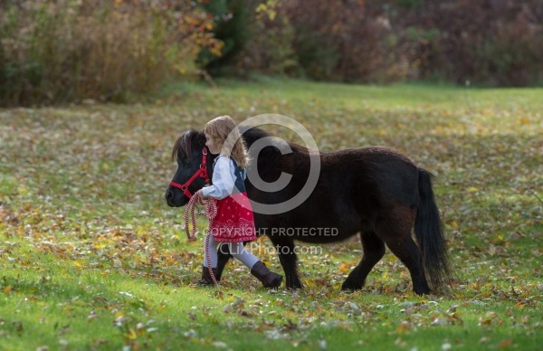Girl with Miniature Horse