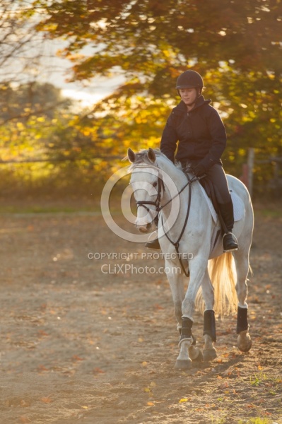 Schooling English on the Flat Thoroughbred Schooling