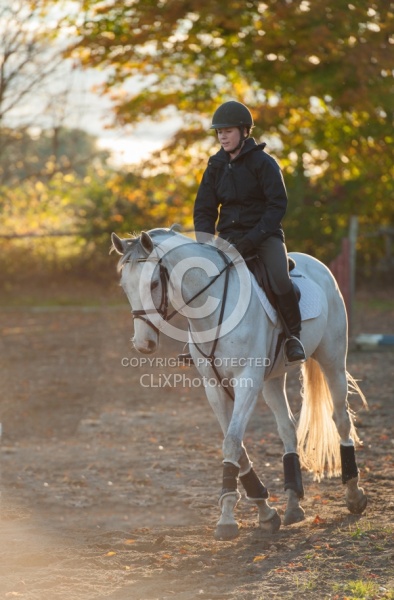 Schooling English on the Flat Thoroughbred Schooling