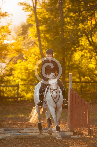 Schooling English over Poles Thoroughbred Schooling