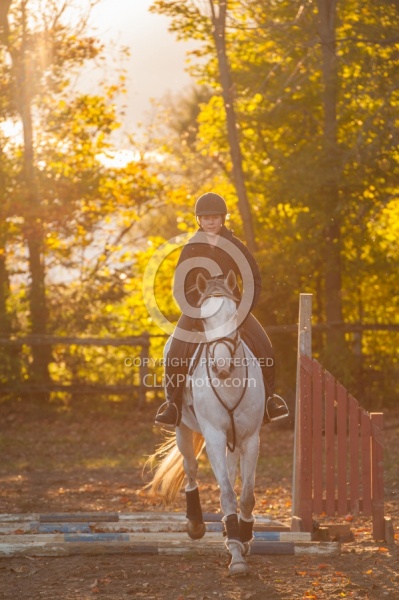 Schooling English over Poles Thoroughbred Schooling