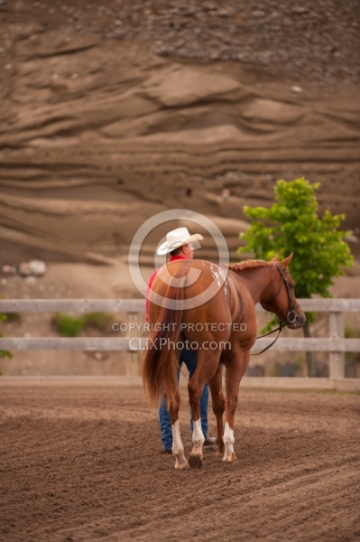 Appaloosa Leading Horse Around Show Grounds