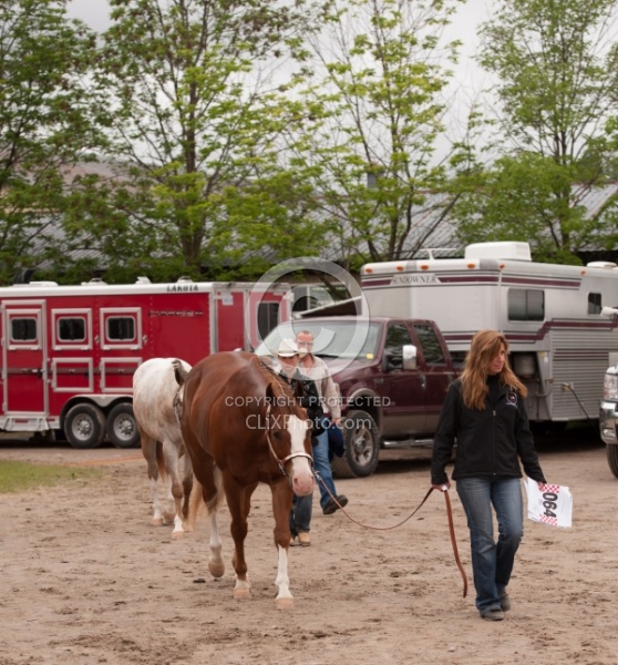 Appaloosa Leading Horse Around Show Grounds
