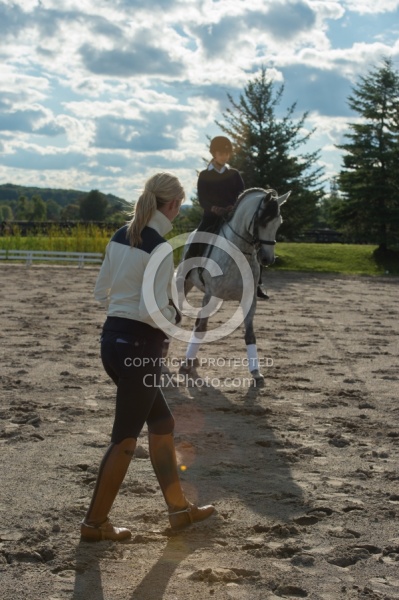 Dressage Instructor
