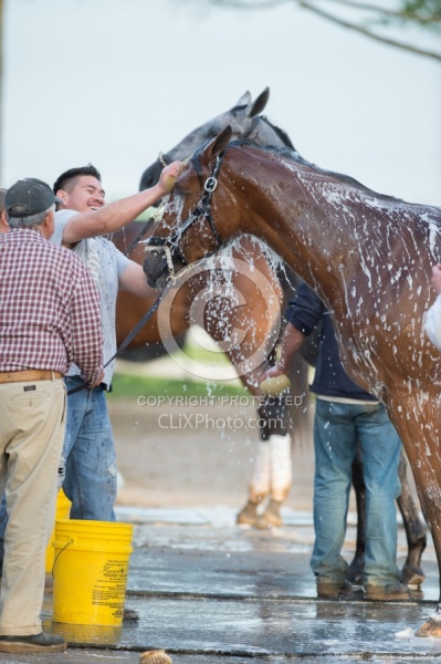 Bath Time at Keeneland, KY