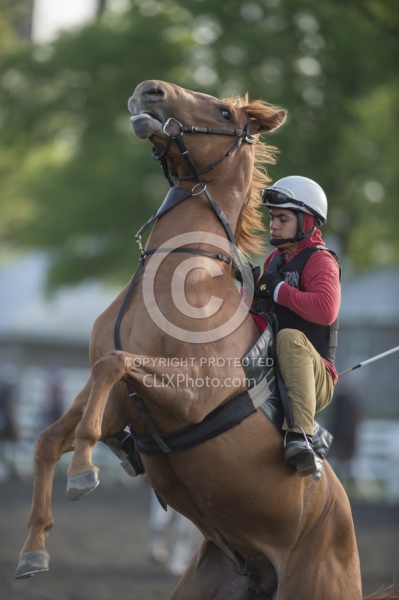 Misbehaving at the Track
