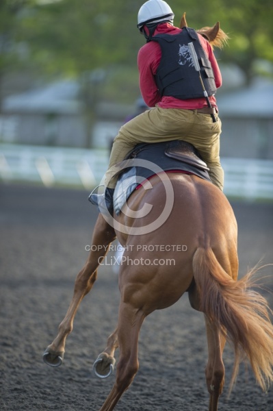 Misbehaving at the Track