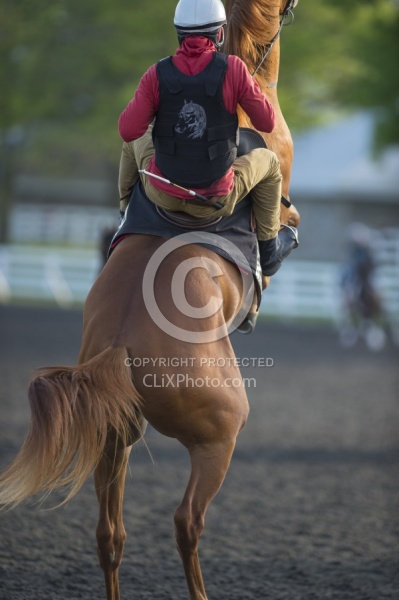 Misbehaving at the Track