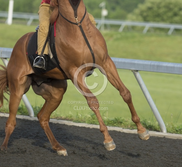 Misbehaving at the Track