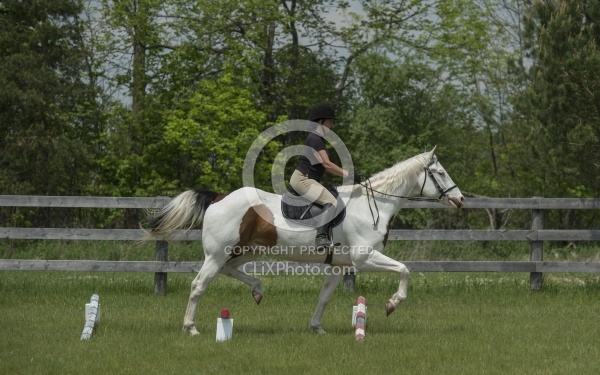 Paint Schooling Trotting Poles