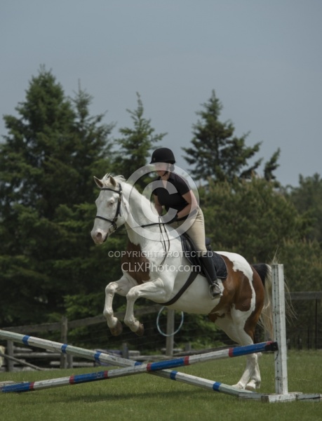 Paint Schooling Over Fences