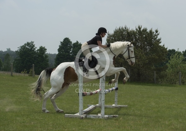 Paint Schooling Over Fences