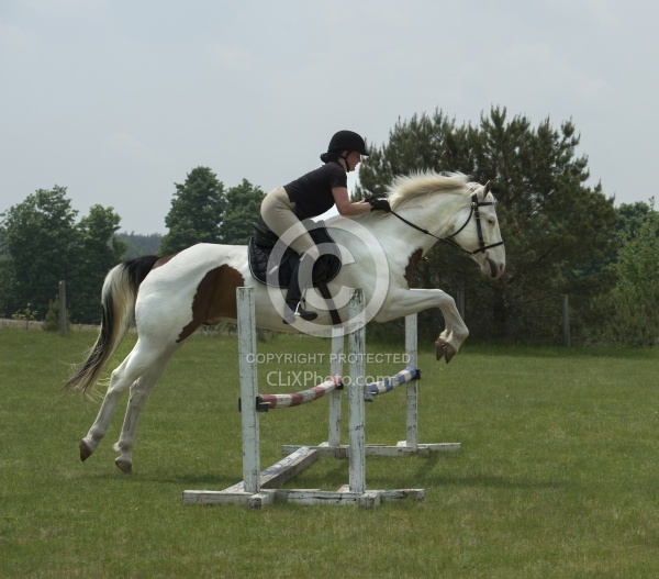 Paint Schooling Over Fences