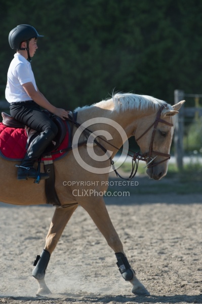 Kids Riding Dressage