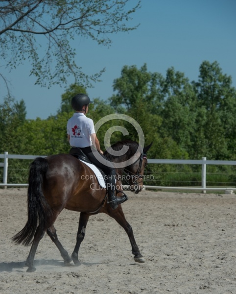 Kids Riding Dressage