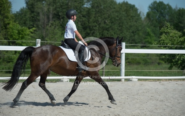 Kids Riding Dressage