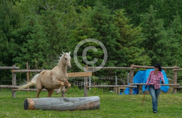 Extreme Country Cowboy Challenge
