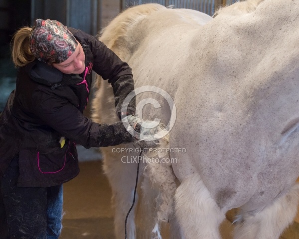 Clipping for Cushings