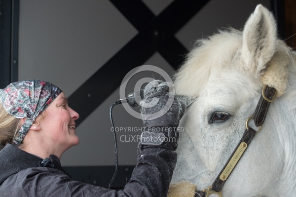 Clipping for Cushings