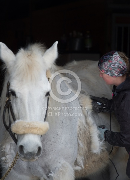 Clipping for Cushings