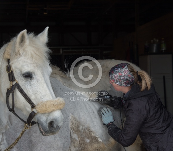 Clipping for Cushings
