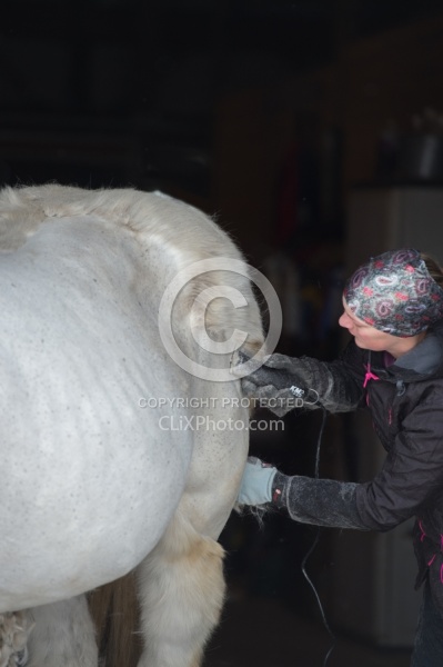 Clipping for Cushings
