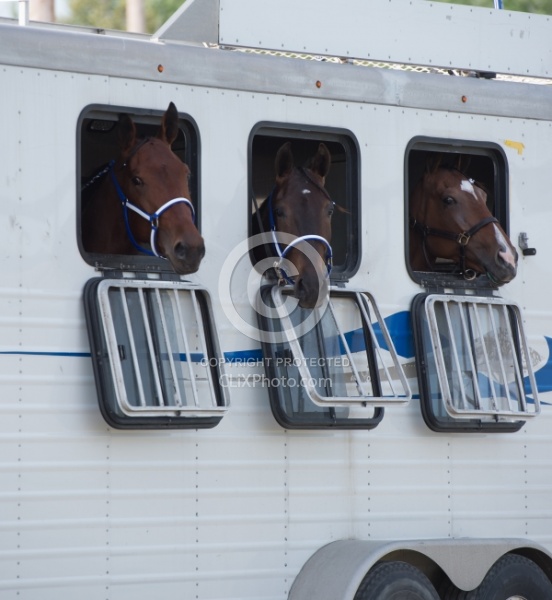 Head out of Trailer Window