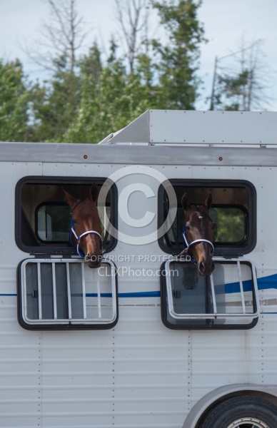 Head out of Trailer Window