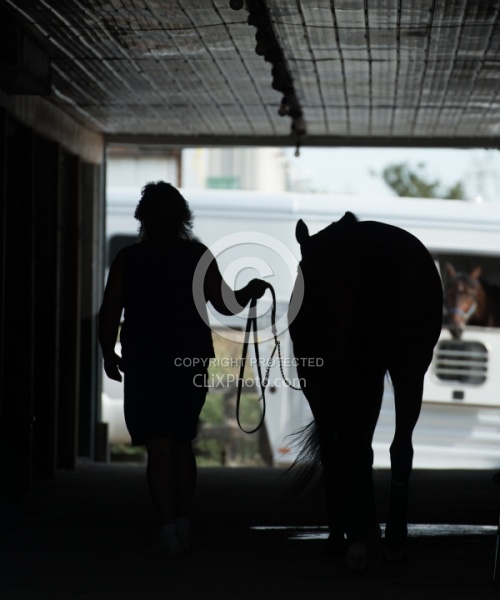 Head out of Trailer Window