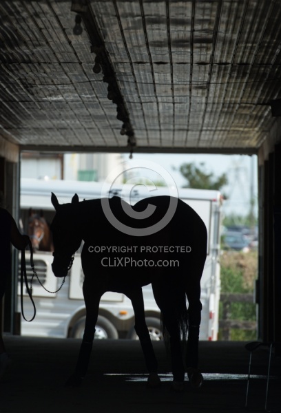 Head out of Trailer Window