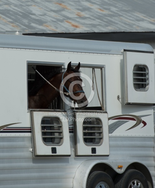 Head out of Trailer Window