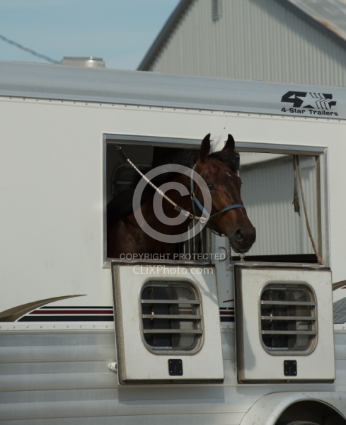 Head out of Trailer Window