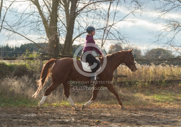 Youth Riding the Trot