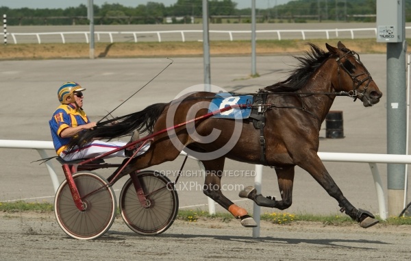Standardbred Racing