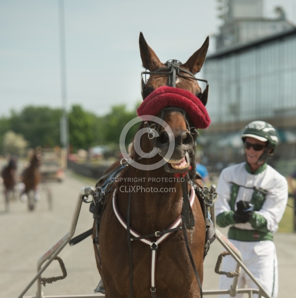 Standardbred Racing
