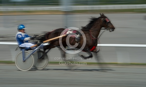 Standardbred Racing
