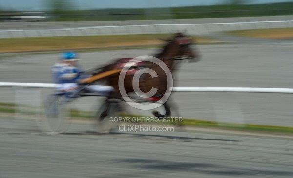 Standardbred Racing