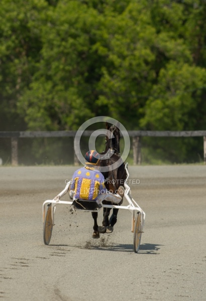 Standardbred Racing